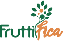 Fruttifica