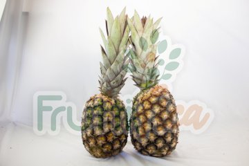 Abacaxi