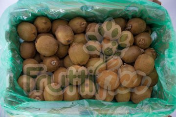 Kiwi